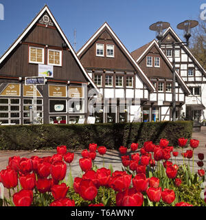 Fachwerkhäuser bei Karl Volke Square im Frühjahr, Bad Sassendorf, Nordrhein-Westfalen, Deutschland Stockfoto