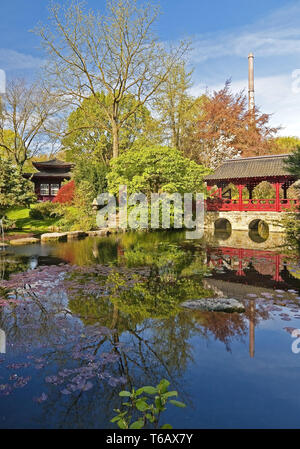 Japanische Garten mit Teehaus im Frühjahr, Leverkusen, Nordrhein-Westfalen, Deutschland Stockfoto