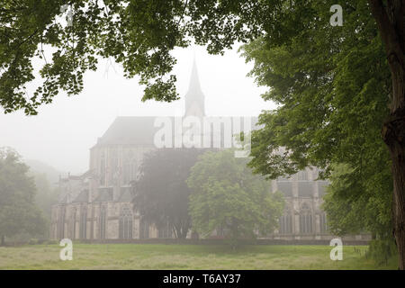 Altenberger Dom bei Nebel, Odenthal, Bergisches Land, Nordrhein-Westfalen, Deutschland Stockfoto