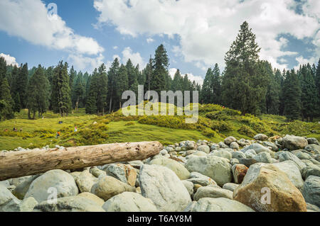 Ein weites Feld Der Runde Felsen ein Flusslauf in eine Landschaft in Doodhpathri, Kaschmir. Ein Protokoll der Wald abholzte. Stockfoto