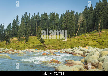 Ein weites Feld Der Runde Felsen ein Flusslauf in eine Landschaft in Doodhpathri, Kaschmir. Das klare blaue Wasser fließt in den sream Stockfoto