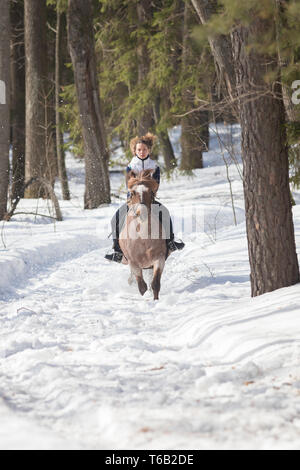 Eine junge Frau, die in der weißen Jacke reiten ein braunes Pferd auf einem schneebedeckten Boden Stockfoto