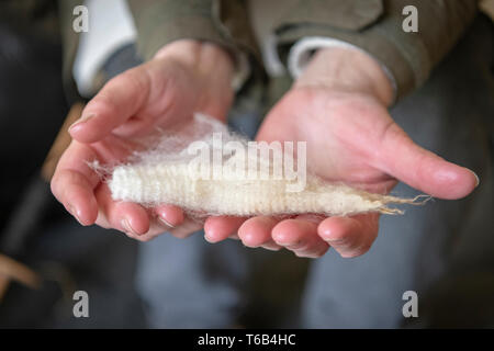 Nahaufnahme von einer Frau mit Schafwolle bereit, in Wolle in Mayfields Farm Tag der Offenen Juricani Norfolk UK ausgegliedert werden. Stockfoto