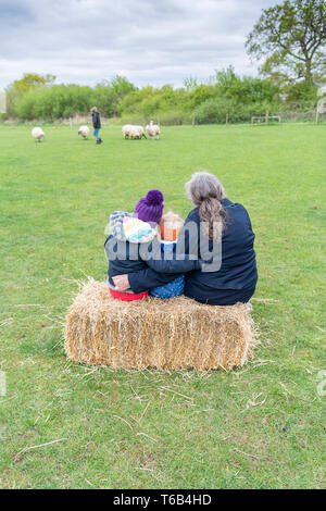 Mayfields Farm Tag der Offenen Juricani Norfolk UK Stockfoto