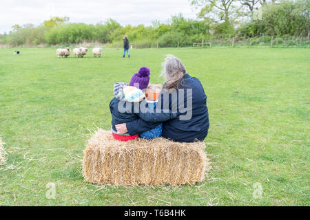 Mayfields Farm Tag der Offenen Juricani Norfolk UK Stockfoto