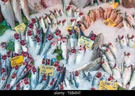 Fischen Sie auf dem Eis zum Verkauf auf einem Markt in Istanbul, Türkei Stockfoto