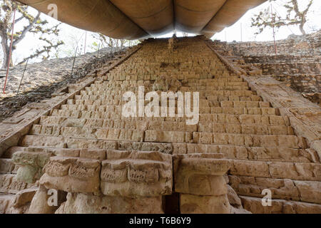 Maya Ruinen der Maya Hieroglyphen Treppe am UNESCO-Weltkulturerbe von Copan, Honduras Mittelamerika Stockfoto