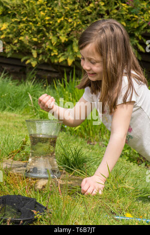 Junge Mädchen, acht Jahre alt, Teich tauchen, fang Teich leben, Kaulquappen, libellelarven im Netz, und setzt sie in den jar, Garten Tiere Teich, Stockfoto