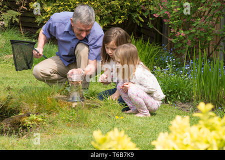 Großvater Teich tauchen mit zwei Enkelkinder, über Lehre, und Ihnen zeigen, Tierwelt, junge Mädchen, 3 und 8 Jahre alt. net und Jar Stockfoto