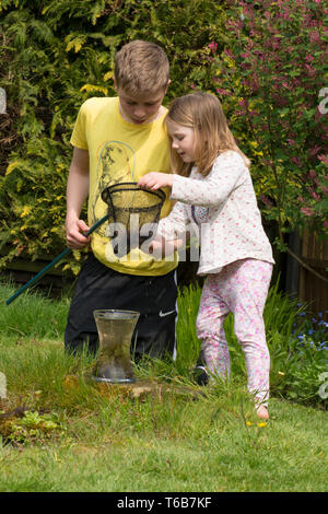 Junge Kinder, Bruder und Schwester, Teich zusammen tauchen, mit Net, Garten Tiere Teich, älterer Bruder, jüngere Schwester, die gemeinsam spielen. Natur, Stockfoto