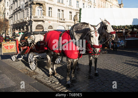 Pferdekutschen warten auf Touristen auf Weihnachten Old Town Square Stockfoto