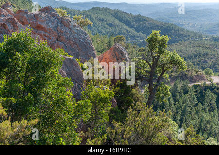 Landschaft im Massif de l'Ésterel, Antheor, Var, Provence-Alpes-Cote d'Azur, Frankreich, Europa Stockfoto