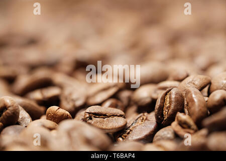 Frisch geröstete Kaffeebohnen in einem Kaffee Rösterei Stockfoto