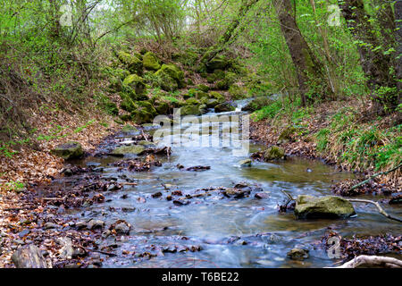 Wild unberührt unberührte stream Wasserlauf im Wald Felsen im Stream mit glatten fließende Wasser Stockfoto