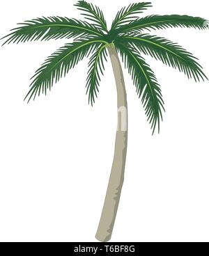 Palm Tree Vector Vector Illustration Stock Vektor