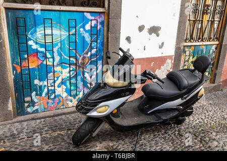 Wandbilder als Teil der Kunst der offenen Türen Projekt in der Zona Velha (Altstadt) Fläche von Funchal, Madeira lackiert Stockfoto