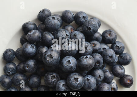 Frische Heidelbeeren mit Wassertropfen auf einem weißen Teller. Die gesündesten Lebensmittel der Welt. Stockfoto