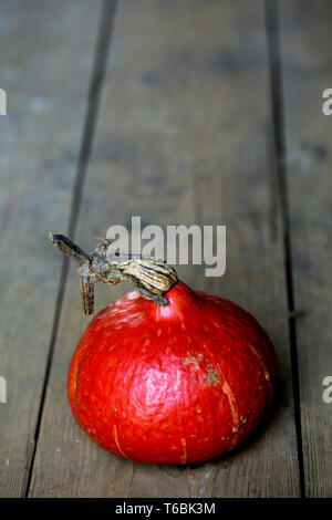 Hohen winkel Nahaufnahme eines Red Kuri Kürbis auf rustikalen Holztisch. Stockfoto