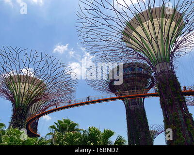 In Singapore's berühmten Gärten durch die Bucht botanischer Park, der futuristischen Denkmäler als Supertree Grove bekannt sind durch ein skyway Suspension Bridge angeschlossen Stockfoto