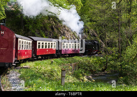 Historische Schmalspurbahn im Harz, zentrale deutsche Mittelgebirge Stockfoto