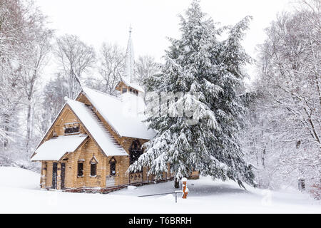 Winter im Nationalpark Harz, Deutschland Stockfoto