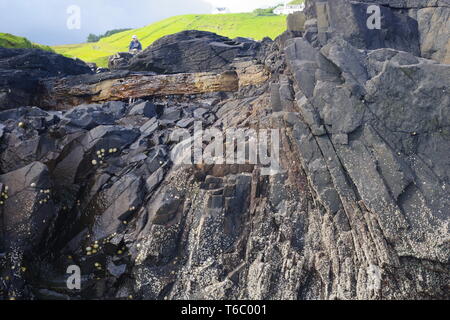 Magmatischen Sill, Basaltsäulen Geologie an der Brüder (Rubha nam Brathairean) Isle of Skye, Schottland, Großbritannien. Stockfoto
