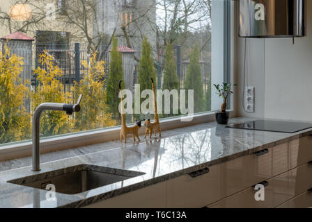 Detail der Küche Möbel mit Arbeitsplatten, Schubladen, Chrom Wasserhahn durch eine Spüle, Herd, Dampfbad, Sammler, Steckdosen, Blumentopf. Stockfoto