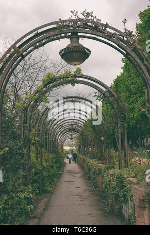 Arch mit Reben in einem Park in Paris. Stockfoto