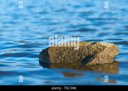 Stein im Wasser der Elbe bei Magdeburg Stockfoto