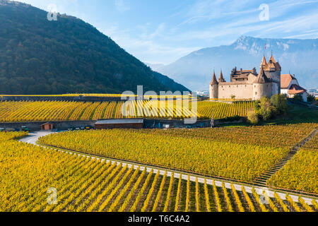 Burg von Aigle, Aigle, Kanton Waadt, Schweiz, Europa Stockfoto