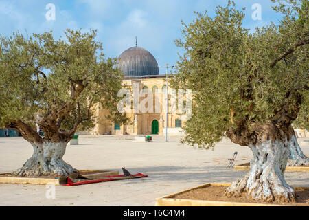 Israel, Jerusalem, Jerusalem. Al-aksa-Moschee auf dem Tempelberg in der Altstadt. Stockfoto