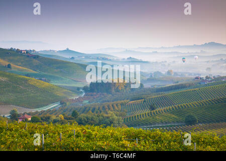 Italien, Piemont (Piemonte), Cuneo, Langhe, Heißluftballone fliegen über Tal bei Sonnenaufgang Stockfoto