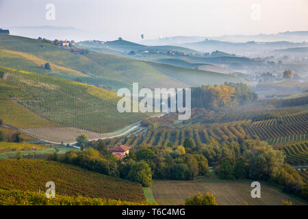 Italien, Piemont (Piemonte), Cuneo, Langhe, Heißluftballone fliegen über Tal bei Sonnenaufgang Stockfoto