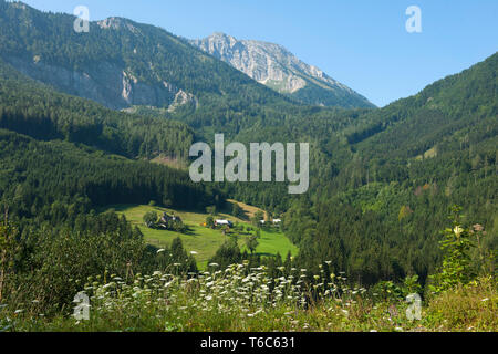 Österreich, Niederösterreich, Ötscherland, Blick von der Panoramastrasse (puchenstuben - trübenbach) zum Ötscher Stockfoto