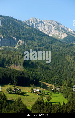 Österreich, Niederösterreich, Ötscherland, Blick von der Panoramastrasse (puchenstuben - trübenbach) zum Ötscher Stockfoto