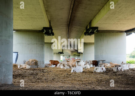 Deutschland, Nordrhein-Westfalen, Mühlheim an der Ruhr, Ruhrgebiet der Autobahnbrücke über die A40 von Westen Raffelbergbrücke Stockfoto