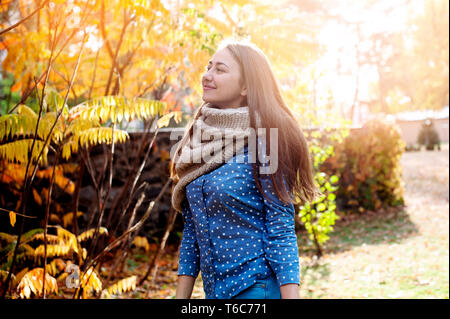 Nett schön lächeln Frau wandern in rot herbst Park. Mädchen in knitten Schal in der Nähe von Baum und sie ist glücklich Stockfoto