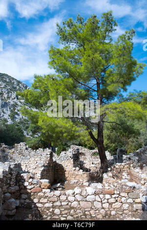 Asien, Türkei, Antalya, Ausgrabungen von Olympos Stockfoto