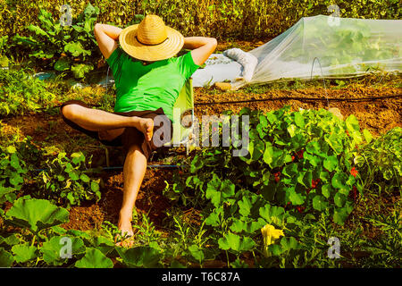 Gärtner entspannen mit Strohhut und Pflanzen, Blumen und Kräuter im Garten. Stockfoto