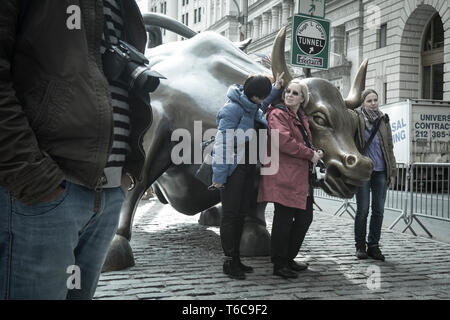 Charging Bull, die manchmal auch als die Wall Street Bullen oder das Bowling Green Bull genannt, ist eine Bronzeskulptur, die in Bowling Green im Financial District in Manhattan, New York City steht. Stockfoto