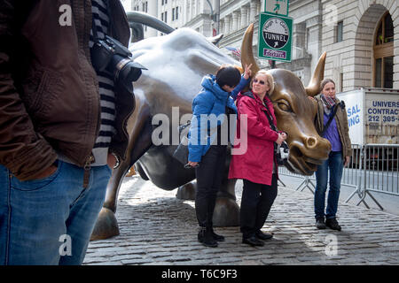 Charging Bull, die manchmal auch als die Wall Street Bullen oder das Bowling Green Bull genannt, ist eine Bronzeskulptur, die in Bowling Green im Financial District in Manhattan, New York City steht. Stockfoto