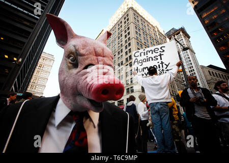 Die Demonstranten aus der Besetzt die Wall Street in der zucotti Park gegen Gier und Ungleichheit demonstrieren. Der Ire ist besonders auf die Welt der Finanzen konzentriert. Ein Mann in ein Schwein Maske in den Vordergrund. Stockfoto