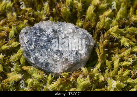 Berg Tundra enthält viele Mineralien im Untergrund. das Schießen mit ultra Makro Zoom. Stockfoto