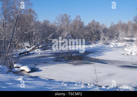 Fluss Koksha durch Bäume unter Raureif und Schnee in der Altairegion im Winter umgeben Stockfoto