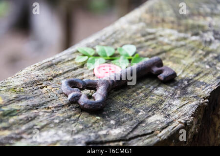 Schlüssel auf einem Holzbrett Stockfoto