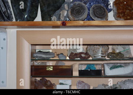 Geologie Crystal und fossilen Sammlung in einer Vitrine. Exeter, Devon, Großbritannien. Stockfoto