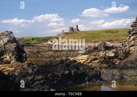 Newark Burgruine, entlang der Küste von Fife St Monans bei Ebbe an einem Sommertag. Schottland, Großbritannien. Stockfoto