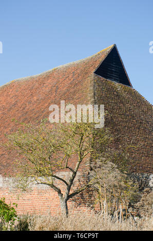 Dach der alten Scheune Stockfoto