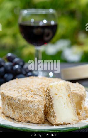 Französischer Käse Sammlung, Stück von fermentiertem Käse aus Kuhmilch Camembert au Calvados serviert mit Glas süßen roten Portwein in grün Garten Nahaufnahme Stockfoto