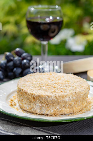 Französischer Käse Sammlung, Stück von fermentiertem Käse aus Kuhmilch Camembert au Calvados serviert mit Glas süßen roten Portwein in grün Garten Nahaufnahme Stockfoto